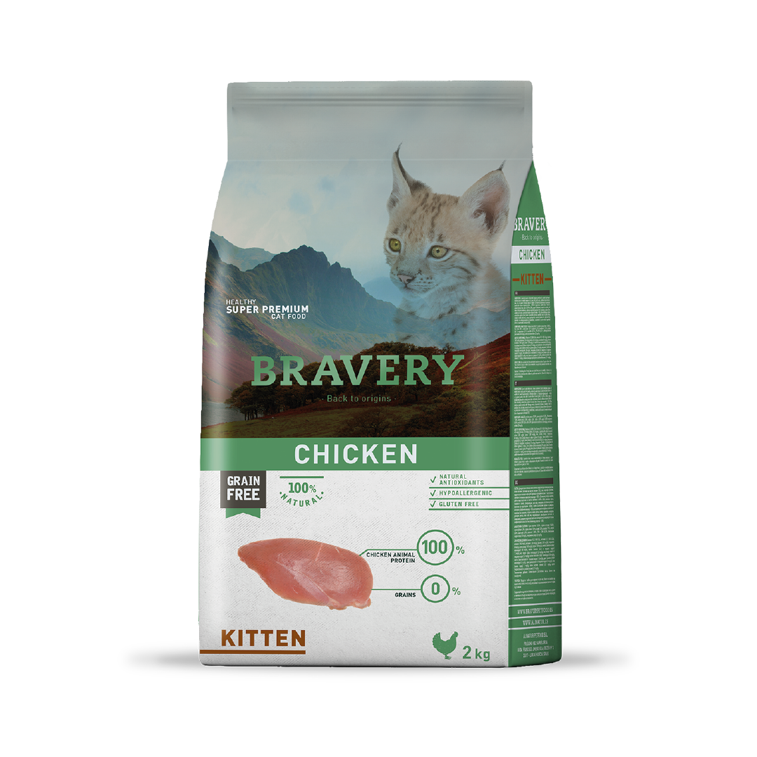 BRAVERY CHICKEN KITTEN