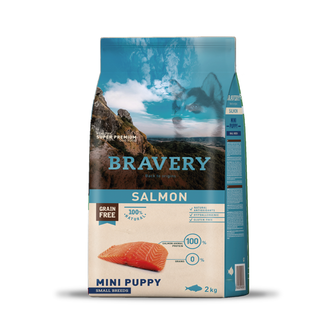 BRAVERY SALMON MINI PUPPY