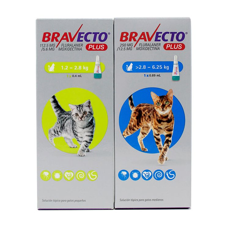 BRAVECTO PLUS GATO